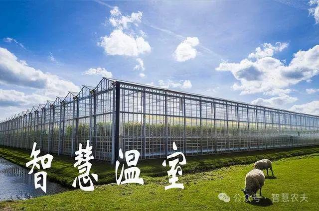 于农业现代化吗？对传统农业有没有影响？米乐m6登录入口智能温室和无土栽培属(图3)