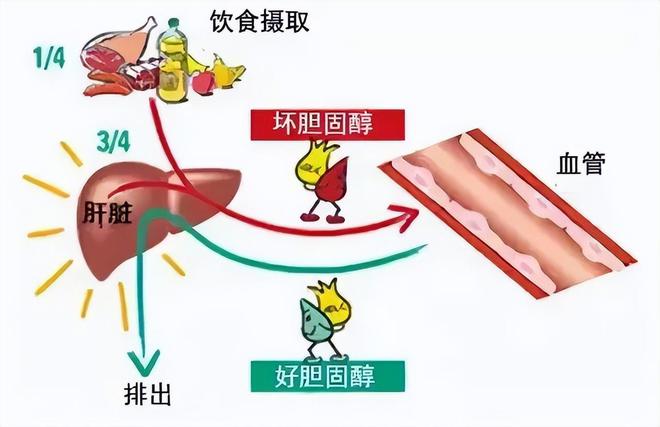 饼真的无糖吗？m6米乐无糖月