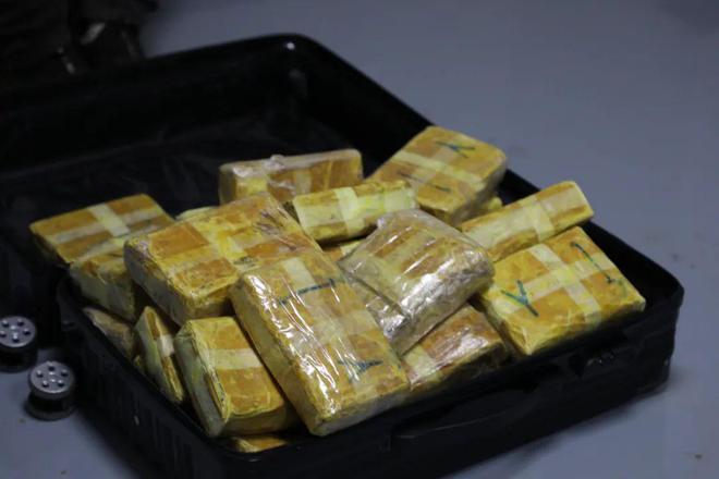 靖破获一起特大贩卖毒品案m6米乐3447kg！曲(图9)